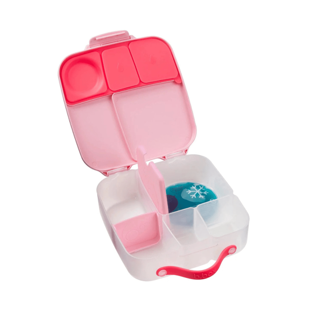 Lonchera Flamingo Fizz - B.box